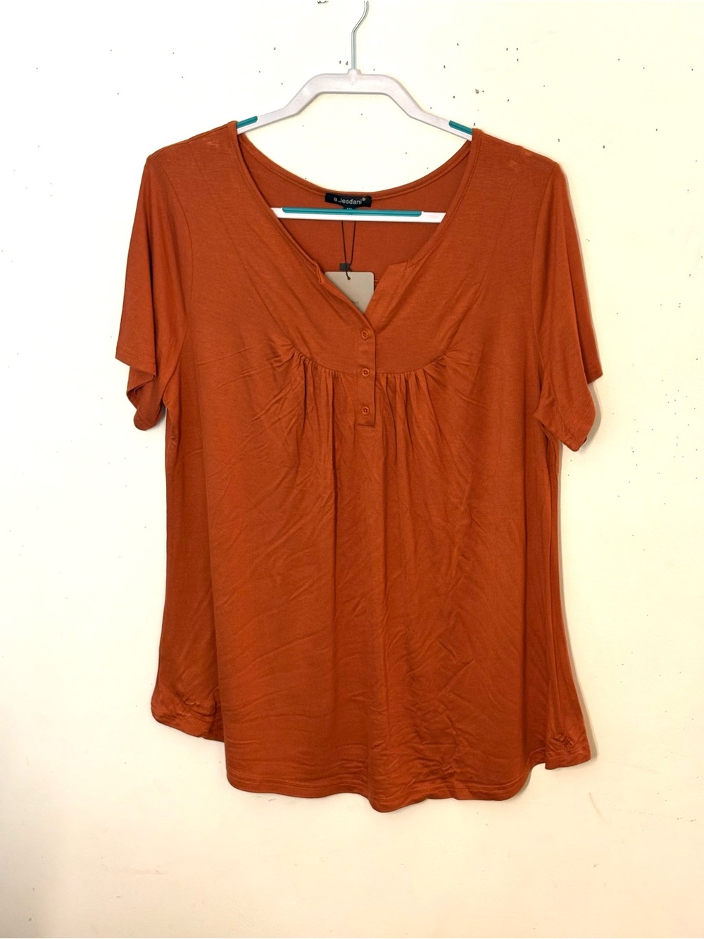 a. Jesdani Casual Scoop Neck Pleated Short Sleeve Top - Rusty Brown. Size XL.